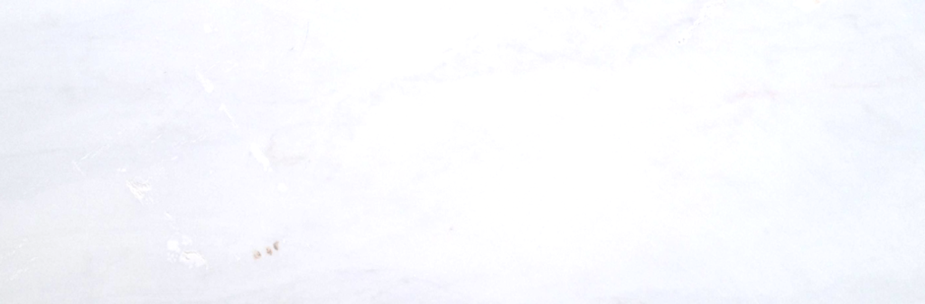 White-Estrmoz-deluxe
